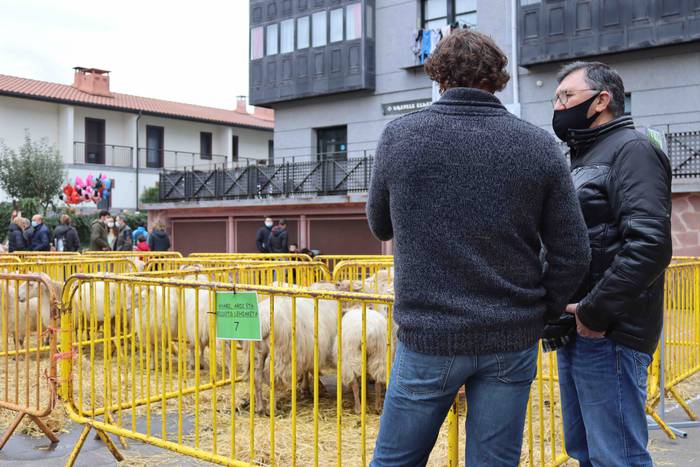 Oholtza gainera igo dira ira 14 1636308513582