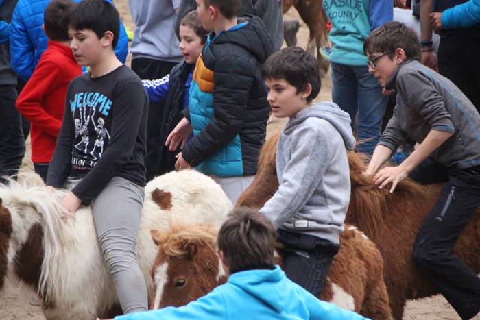 Txaranga eta zezenak piñata  27 1488738880919