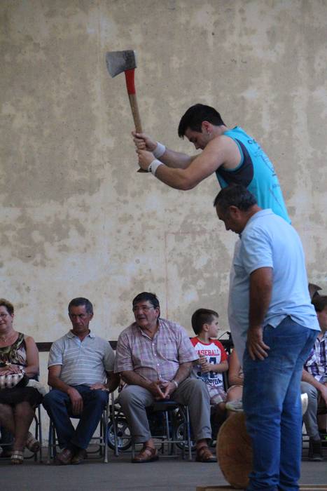 Bedaioko ingurutxoa ezin falta festetan 5 1473618655296