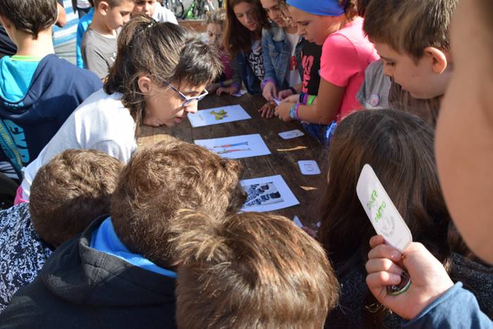 Kotxerik Gabeko Eguna 2016, Tolosa eta Ibarra 37 1474538275892