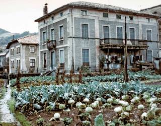 Madariaga etxea, Ibarrako nabarmenena