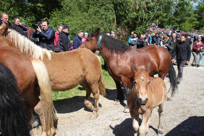 Larre irekiera Larraitzen 20 70 1493640085688