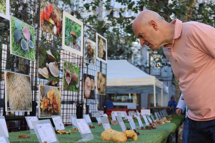 Perretxikoen plaza 14 1666439565885