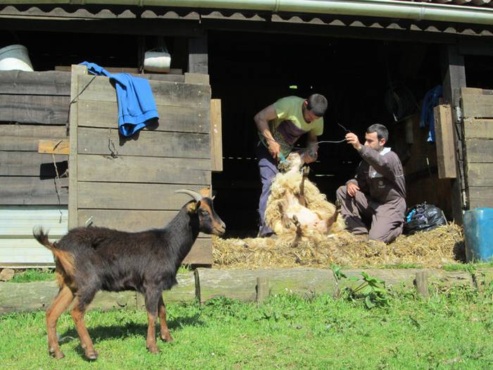 Herriko ekoizle eta kontsumi 8 1525766461438