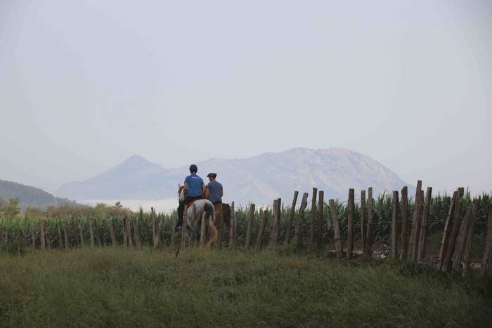 Mendi bizikleta lasterketare 73 1660377652126