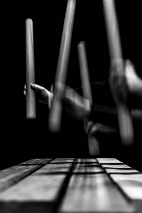 Egurraren oihartzuna iruditan