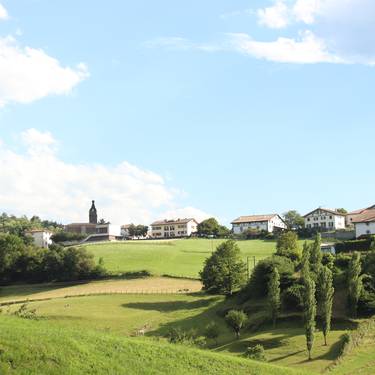 Bilera