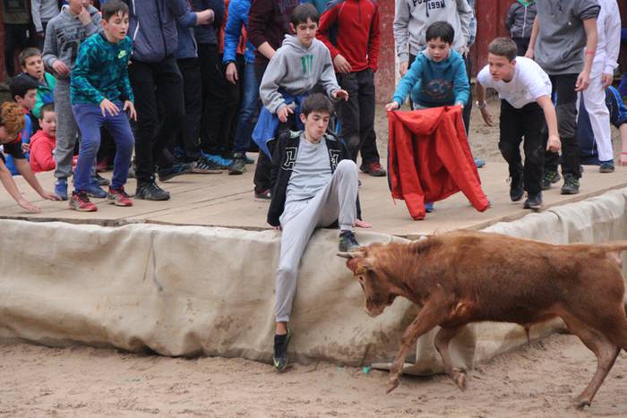 Txaranga eta zezenak piñata  32 1488738910932