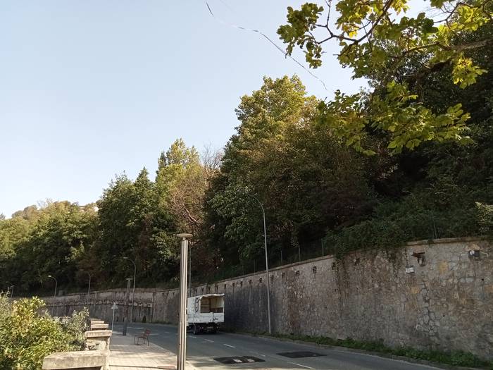 Igande goizean trafikoa mugatuko du udalak Igarondo kalean, zuhaitz lehorrak mozteko