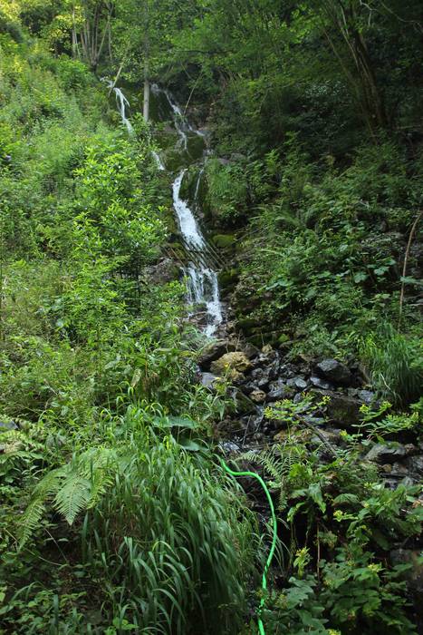 Txoko zaharberrituak, irisga 3 1532612754957