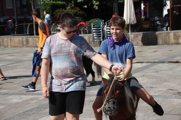 Festak hasteko, poniak eta z 12 1566993971866