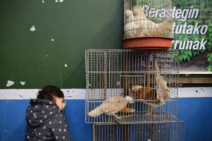 Azoka euriaren gainetik 29 1478447503300