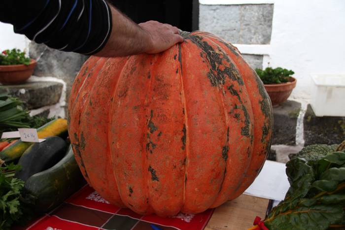 Azken ekitaldia, azoka 16 1506856050187