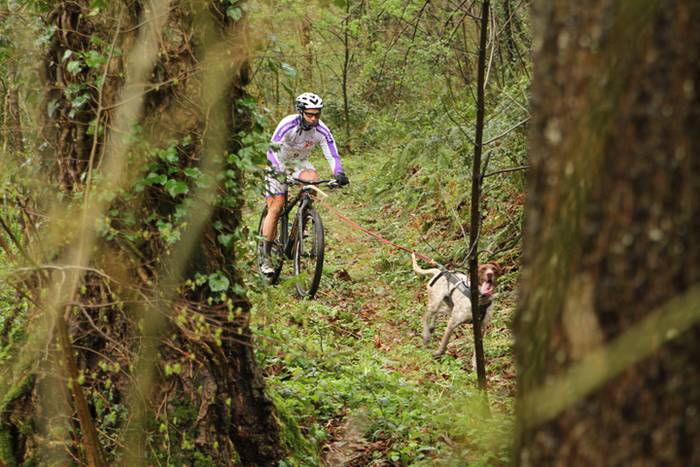 Zizurkil, txakur krosa 8 1490473848113