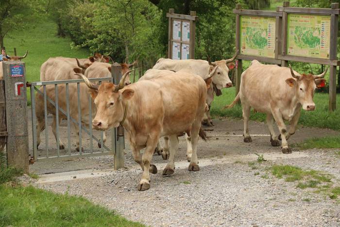 Larre irekiera ekitaldi bere 1 1588336771790