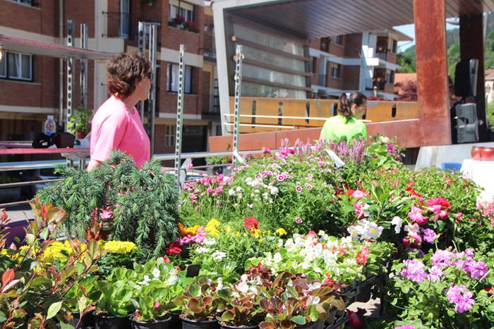 Udaberriko azoka Berrobin 36 1494770593731