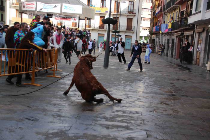 Soka zintzilik eta muturrak  10 1646140690547