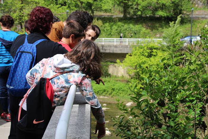 Espezia inbaditzaileak 5 1494600433670