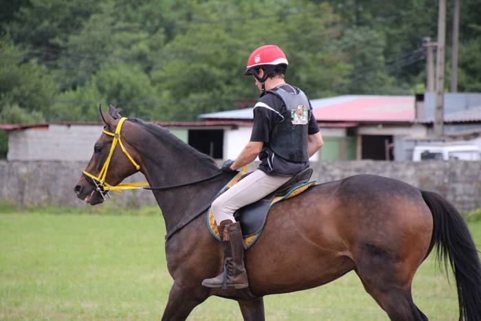 Zaldiak lasterka, gazteak desafioan 9 1472406525931