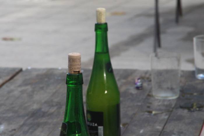 Sagardoz lagunduta jarraitu  7 1504375590221