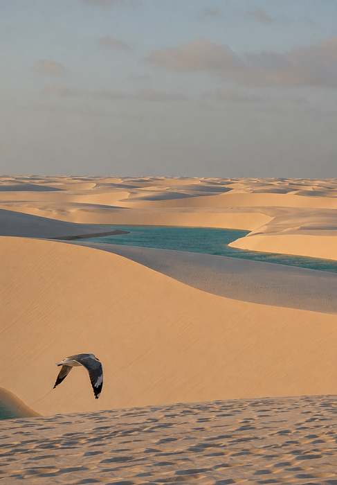 Mugagabetasuna hegaz. Harea harearen eskean.