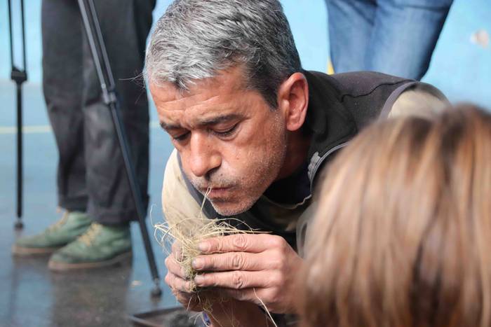 Alkizako San Martinak 2019 28 1573302854095