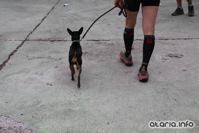 XIV Orduak Lekunberri-SanMigel-Guardetxe 44 1464533099139