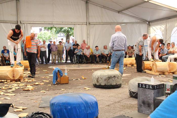 Asteasuko Festak 2016-Erretirodunen Eguna 15 1467297727465