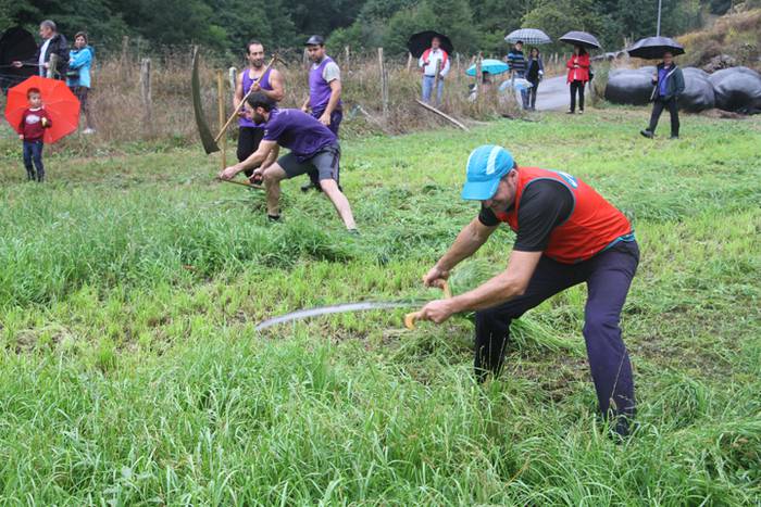 Segalariak, euria eta txakurraren aurka korrika 29 1474130936635