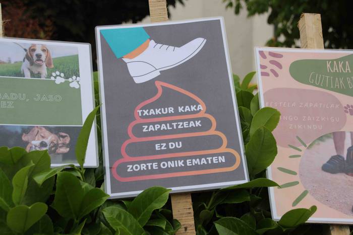 Txakur kakak jasotzeko karte 2 1653302368672