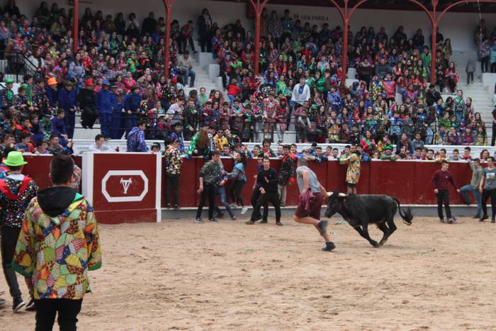 Inauteriak 2020, zezenak Ost 36 1582222559348