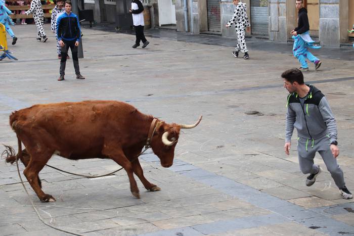 Zezenaren aurrean korrika 11 1551703489081