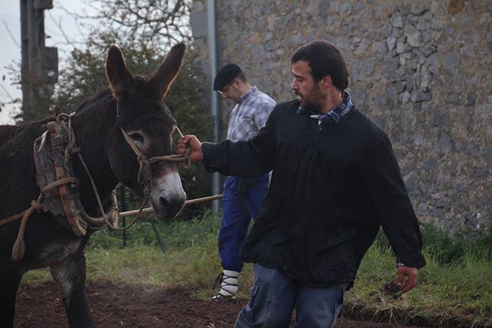 ADUNAKO KULTUR ASTEA 2017. G 13 1511017921269