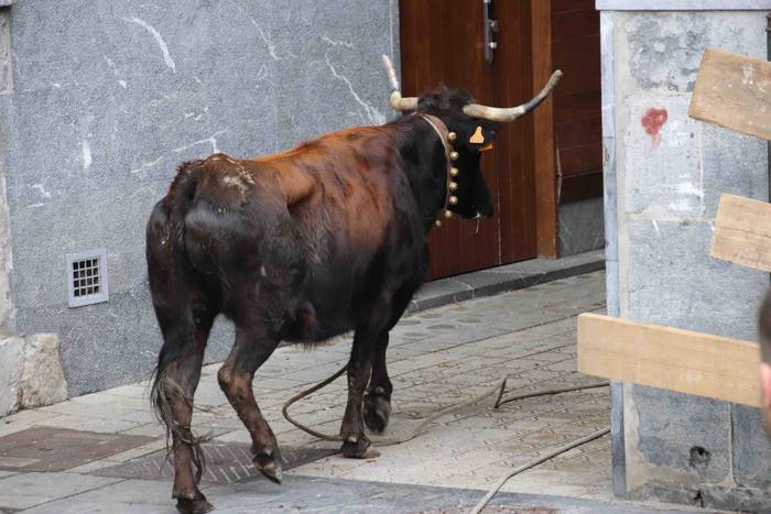 Plaza Berrian ere izan dira  21 1645971729388