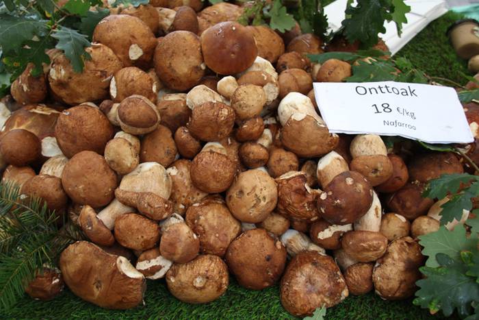 Baserritar eta artisauen bil 12 1506884694832