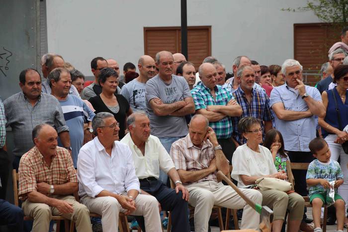 San Pedroak agurtzeko herri  8 1561906318855