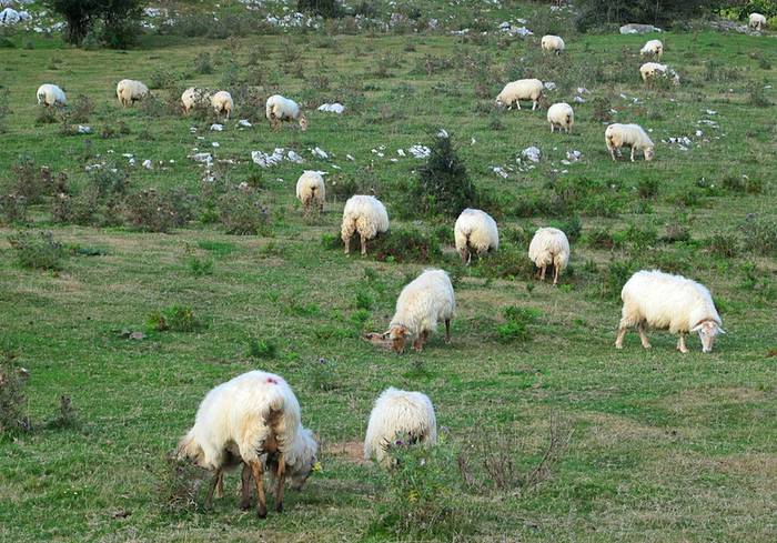 Esne bilketa "bermatzen" duen akordioa "oso positiboa" dela esan du ENBAk