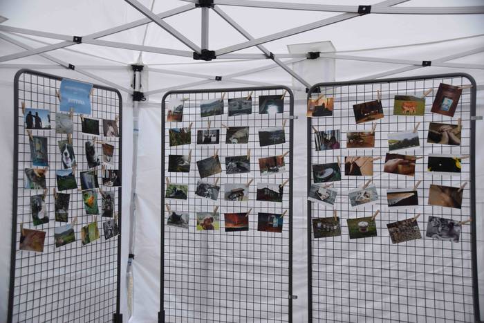 Berastegi hogeita batgarren  29 1572793378766