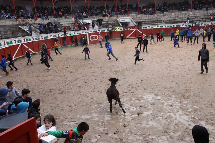 Txikienak zezen txikien aurr 17 1552240880601