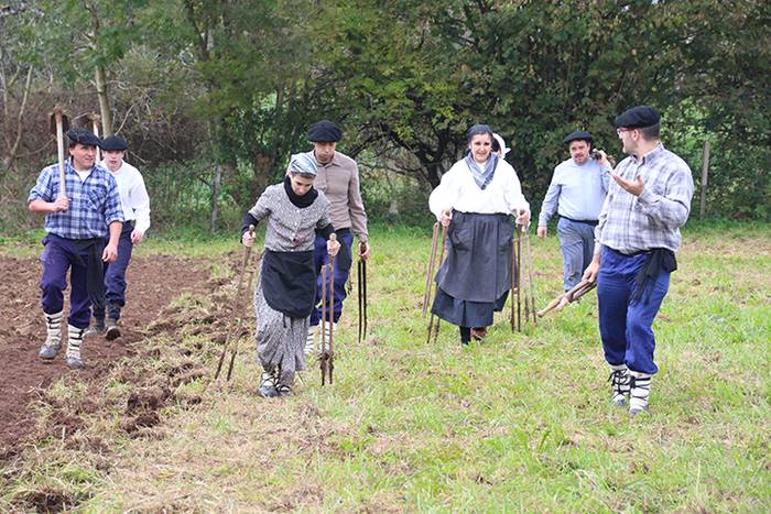 ADUNAKO KULTUR ASTEA 2017. G 47 1511018119683