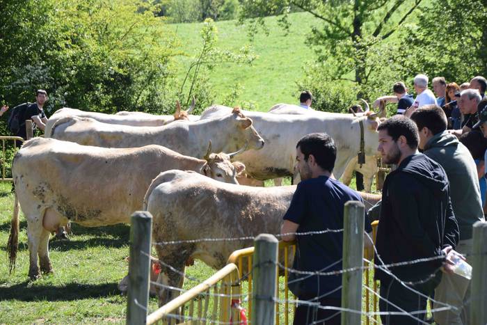 Larrerati dituzte abereak Ar 23 1556716276473