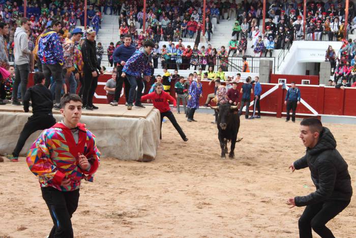 Inauteriak 2020, zezenak Ost 19 1582222549537