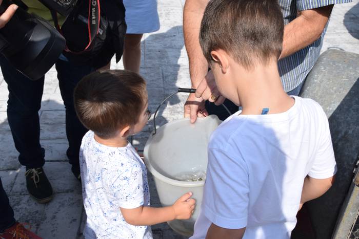 Izokinkumeak, Orian 7 1500724713989