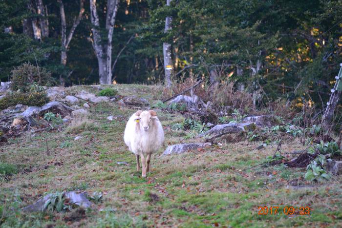 III. Mendiz Mendi Etxera 9 1506346510114