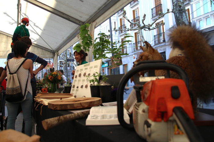 Erakusleiho bizi bat, lanbid 8 1524316772922