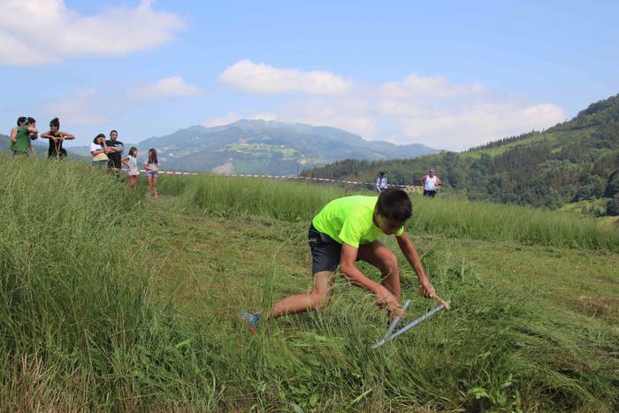 Erabaki dira Euskal Herriko  37 1532870249044