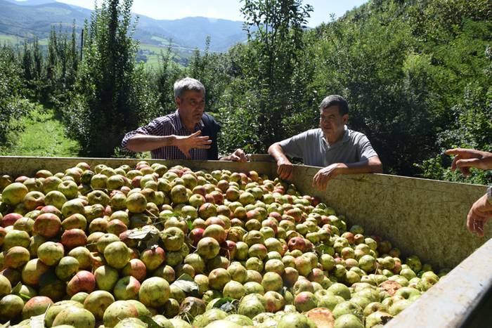 Makina, sagarrak biltzeko 16 1506683815992