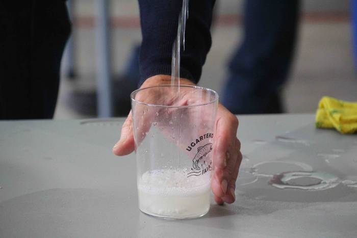 Txakolin dastaketa ugarte fe 4 1570361826597