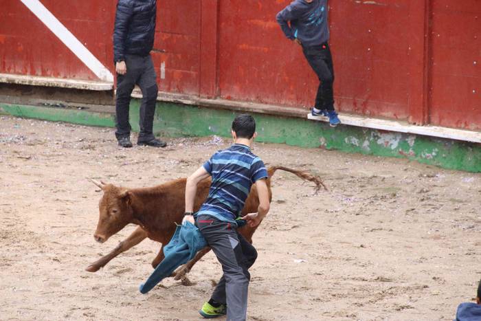 Txikienak zezen txikien aurr 5 1552240866332