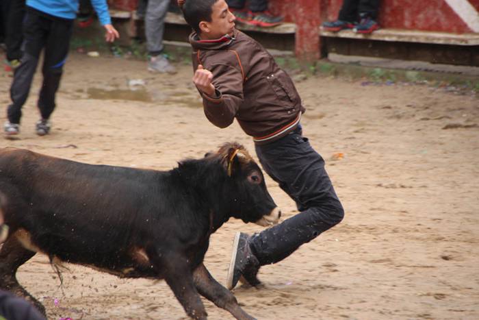 Txaranga eta zezenak piñata  2 1488738729802